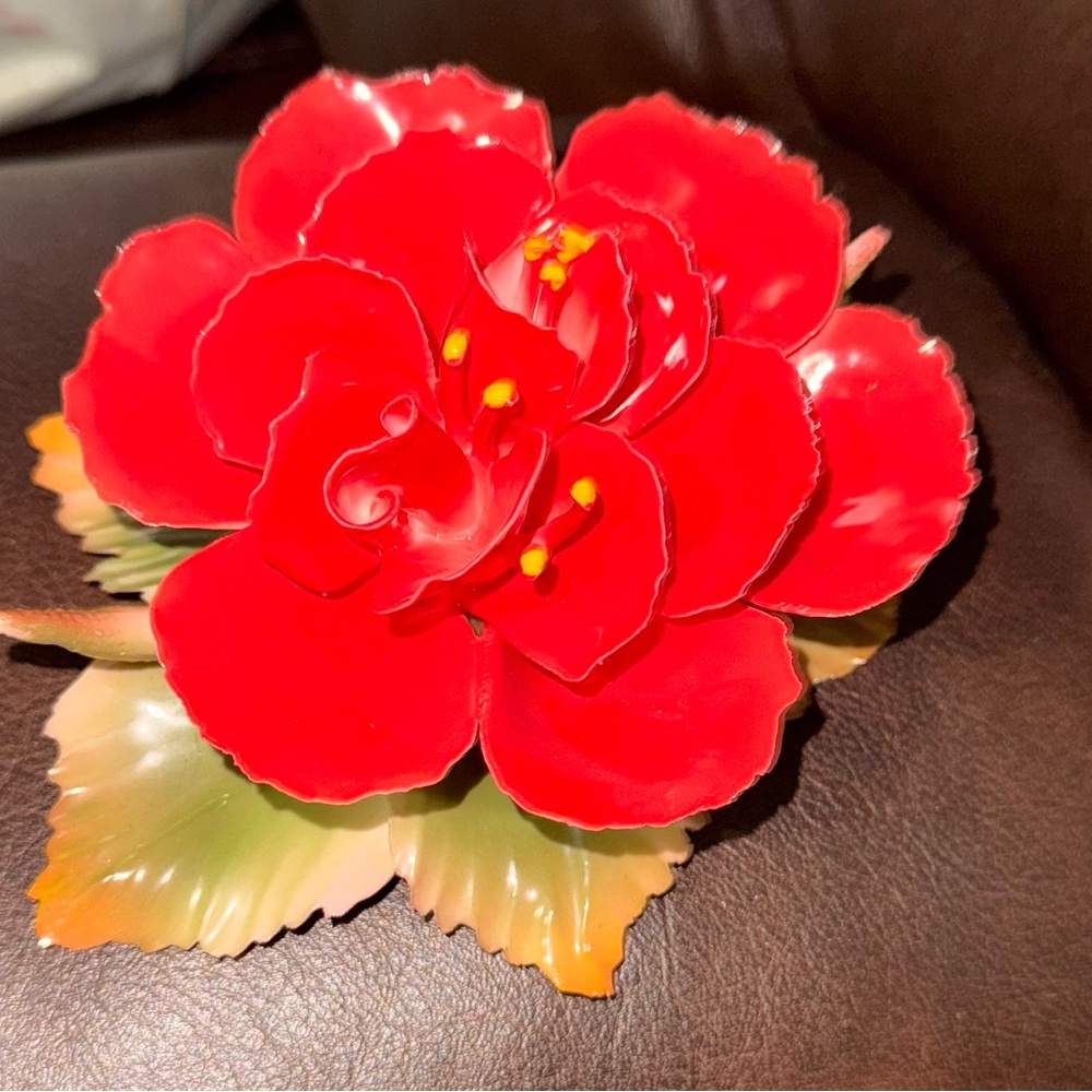 Gorgeous Rose Fine Porcelain🥰